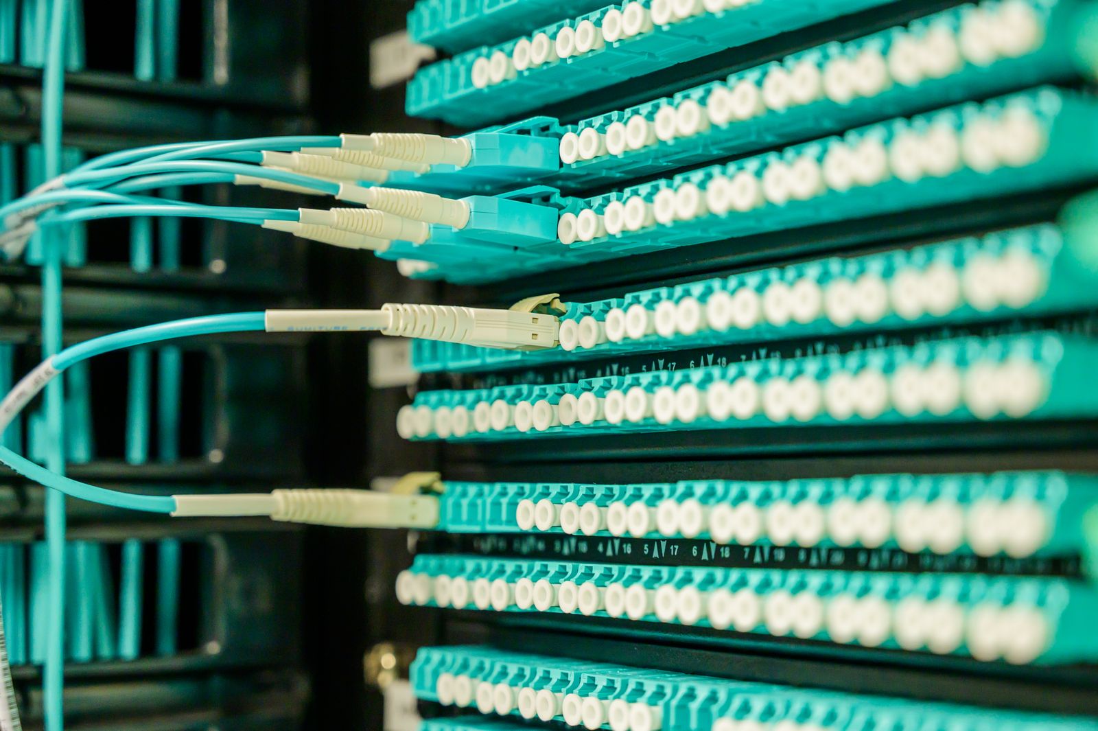 Close de um painel de conexões de fibra óptica com conectores turquesa e cabos